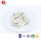 TTN Hot Sale Freeze Dried Dragon Fruit Food Of Dragon Fruit Smoothie