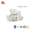 TTN Hot Sale Freeze Dried Dragon Fruit Food Of Dragon  Fruit Red Inside