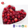 TTN Chinese Hot Sale Freeze Dried Cranberries Bulk And Cranberry Fruit Powder