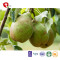 TTN Natural and Healthy Freeze Dried Pears Of Dehydrated Pears