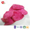 TTN New Sale Vacuum Fried Vegetables of Fried Red Radish And Green Radish Of Vacuum Fried Vegetable Chips