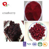 TTN Chinese Hot Sale Freeze Dried Cranberries Fruit Wiht Dried Cranberries Nutrition