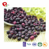 TTN  Best Wholesale Chinese Products Blueberry Dry Fruit