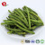 TTN The Latest Wholesale Chinese Crispy Fried Fresh Green Beans With Vegetables Nutritional Value