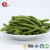 TTN The Latest Wholesale Chinese Crispy Fried Fresh Green Beans With Vegetables Nutritional Value