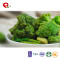 TTN China New Best Vacuum Fried Broccoli Vegetables With Nutrients Of Vegetables