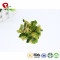 TTN China New Best Vacuum Fried Broccoli With Veggies List
