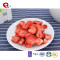 TTN  Dried Fruit Strawberries With Freeze Dried Strawberry Pieces