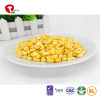 TTN Corn Nutrition And Corn Market With Best Freeze Dried Meals