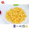 TTN Corn Nutrition And Corn Market With Best Freeze Dried Meals