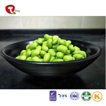 TTN  Sale Green Bean Food With Bean Nutrition
