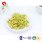 TTN Wholesale Fry Vegetable Quantity Big Discount Chinese Supplie