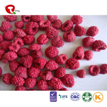 TTN Sell Raspberries For Fresh And Healthy Nutrition