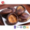 TTN Wholesale Sales Of Freeze Dried Vegetables And Mushrooms For Nutritional Value