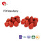 TTN  Wholesale Export Of Freeze Dried Strawberry Natural Health