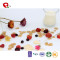 TTN  Nutrition And Function Of Mixed Sugar Free Freeze Dried Fruit