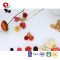 TTN  Nutrition And Function Of Mixed Sugar Free Freeze Dried Fruit