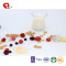 TTN  Nutrition And Function Of Mixed Sugar Free Freeze Dried Fruit