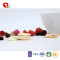 TTN freeze dried fruit powder suppliers with dry fruits for children's