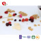 TTN freeze dried fruit powder suppliers with dry fruits for children's