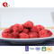 TTN Manufacturers Wholesale Freeze Dried Raspberry And Raspberry Nutrition