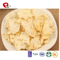 TTN gold supplier wholesales the price of freeze dried pineapple