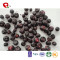 TTN  Wholesale manufacturers dehydrated blueberries with list of healthy snacks