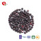 TTN  Blueberry Powder Bulk With Blueberry Juice Concentrate