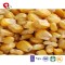 TTN  sale corn for popcorn with corn powder