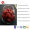 TTN Nutritional value of freeze dried fruits freeze dried strawberries and freeze dried strawberries