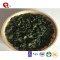 TTN China wholesale suppliers freeze-dried spinach spinach and nutritional value