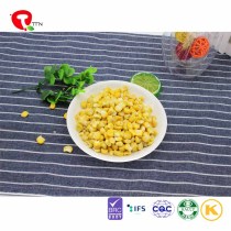 TTN wholesale freeze dried corn powder whole nutritious foods