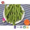 TTN  best Chinese suppliers sell crispy bean with green bean price