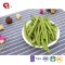 TTN  best Chinese suppliers sell crispy bean with green bean price