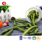 TTN  Sales of green bean dessert calories vacuum sealing green beans