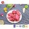 TTN sale vacuum fried carrots and nutritional value of the price
