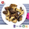 TTN  Wholesale And Sale Of Vacuum Fried Mushrooms With Mushroom Nutritional Value