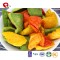 TTN  wholesale color pepper food with yellow red pepper
