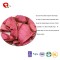 TTN new sale red radish calories with nutritive value of radish