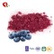 TTN 100% blackberry juice naturally blackberry fruit prices