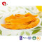 TTN new sale Exports freeze dried mango flavour Healthy snacks