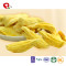 TTN Vacuum freeze dried jackfruit with high quality