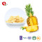 TTN Frozen pineapple, IQF pineapple dice/Canned Pineapple fruits