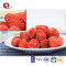 TTN natural fresh freeze dried strawberry chips