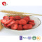 TTN Chinese dried strawberry dry fruit, bulk dried strawberries for sale