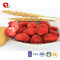 TTN Chinese dried strawberry dry fruit, bulk dried strawberries for sale