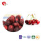 TTN Hot Sale Sweet Dried Cherry with Good Quality