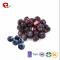 TTN  100% Natural Freeze Dried Whole Blueberries in FD Process