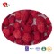 TTN Healthy Snack Food Dried Fruit Freeze Dried Raspberries With Free Sample