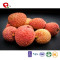 TTN Dried Lychees /Bulk,Vacuum Pack Packaging and Dried Style Freeze-dried lychee